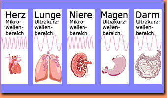 schautafel