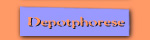 button_depotphorese